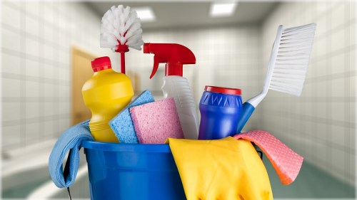 Carpet cleaning team using sustainable practices in SW16