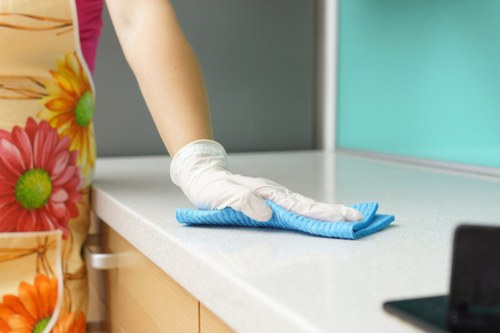 Professional window cleaning for a home in SW16