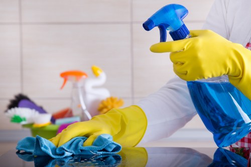 Professional gutter cleaning for flats and commercial buildings in SW16