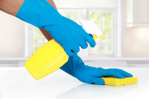 Professional oven cleaning service for homes in SW16