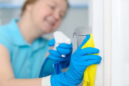 Deep cleaning of kitchen and bathroom areas in a SW16 tenancy move-out