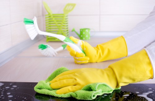 Local stain treatment for sofas, rugs, and soft furnishings in SW16