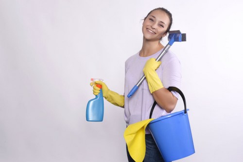 Domestic cleaner working in a Streatham area home