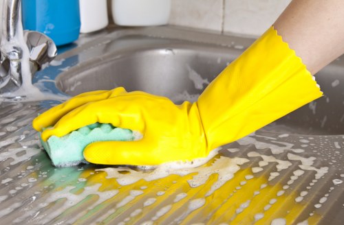 Deep cleaning of upholstery affected by pet odours in SW16