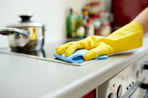 Oven cleaning for a family home in SW16 with tidy kitchen finish